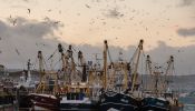 Fishing boats moored in Brixham harbor on March 2, 2016, in Devon, England.